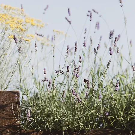 Al Borgo 01 Luxury In Sardinia Abbasanta